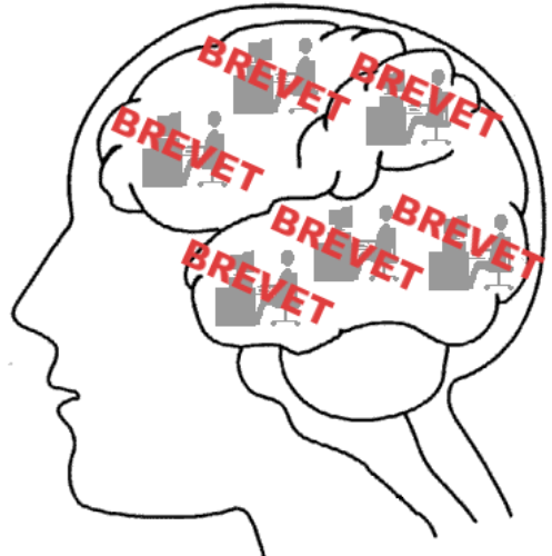 cerveau brevet